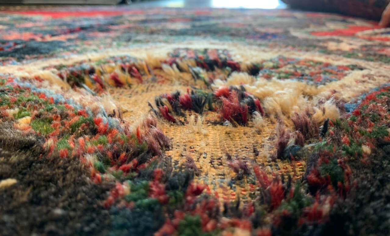 Seasonal Rug Care Guide for Bay Area Families